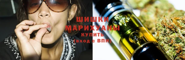 прущие крисы Аркадак