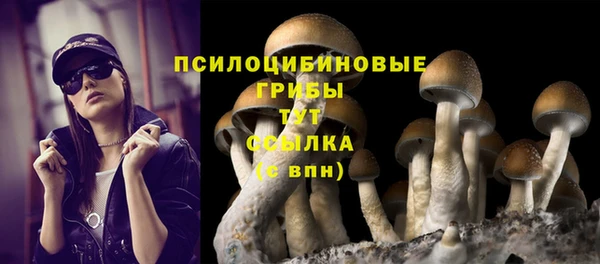 дживик Новокубанск