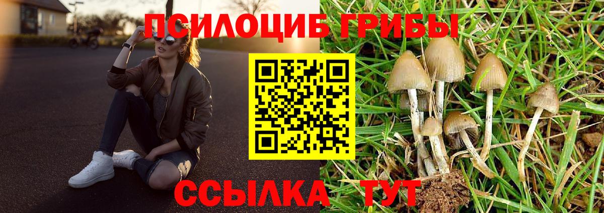 Псилоцибиновые грибы GOLDEN TEACHER Чусовой