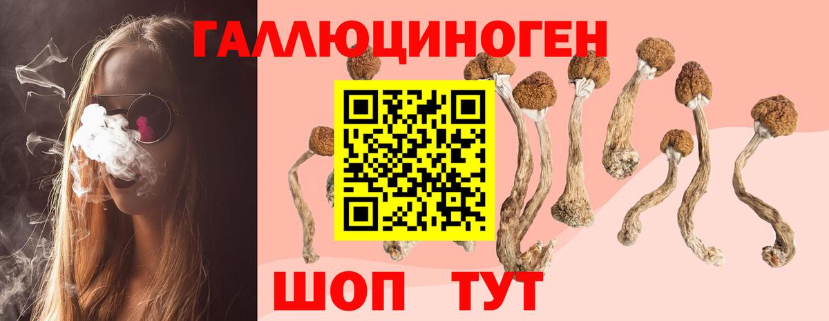 Чусовой  Галлюциногенные грибы прущие грибы  купить   Вход с VPN  Псилоцибиновые грибы Magic Shrooms 
