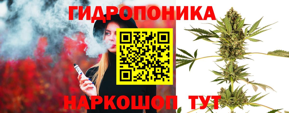 Шишки марихуана гибрид  Вход с VPN  Бошки Шишки SATIVA & INDICA  Бошки марихуана Amnesia  Чусовой  Бошки марихуана семена 